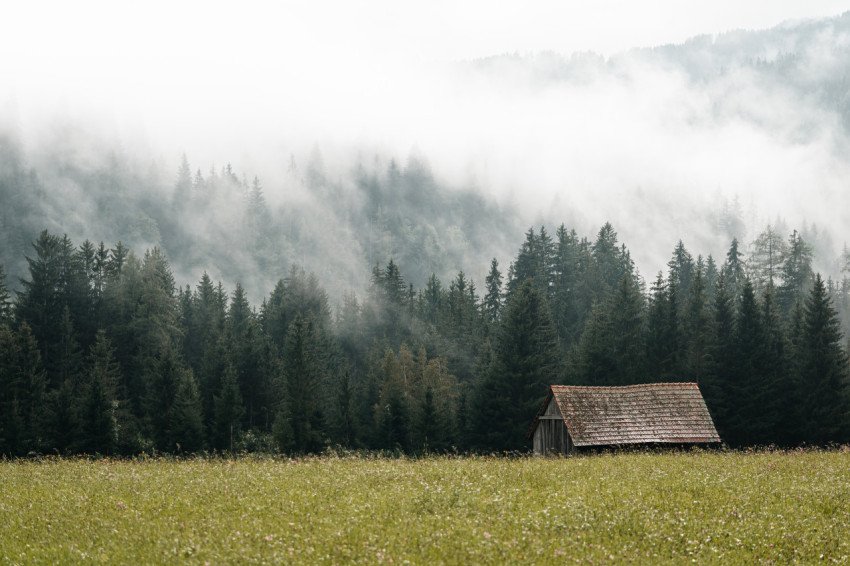 Old barn near the forest hidden in the fog free photo